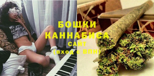 молекула духа Сосновый Бор