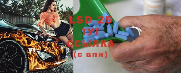 ПСИЛОЦИБИНОВЫЕ ГРИБЫ Верхний Тагил