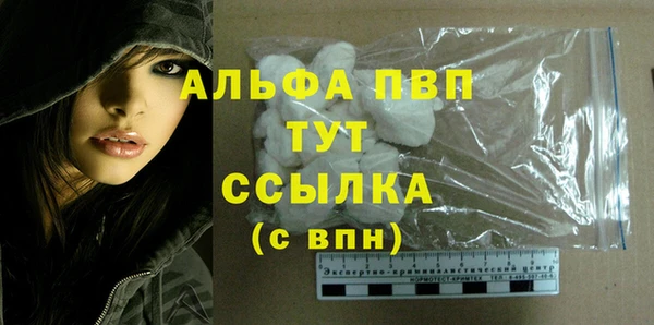 ПСИЛОЦИБИНОВЫЕ ГРИБЫ Верхний Тагил