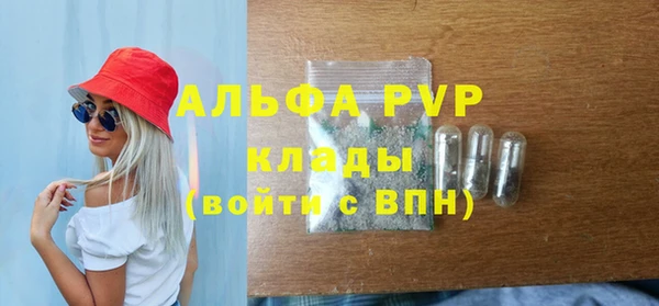 ПСИЛОЦИБИНОВЫЕ ГРИБЫ Верхний Тагил