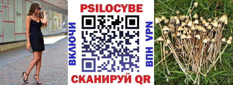 дарк нет состав  Братск  Псилоцибиновые грибы мицелий  ОМГ ОМГ сайт 